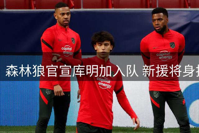 森林狼官宣库明加入队 新援将身披24号战袍